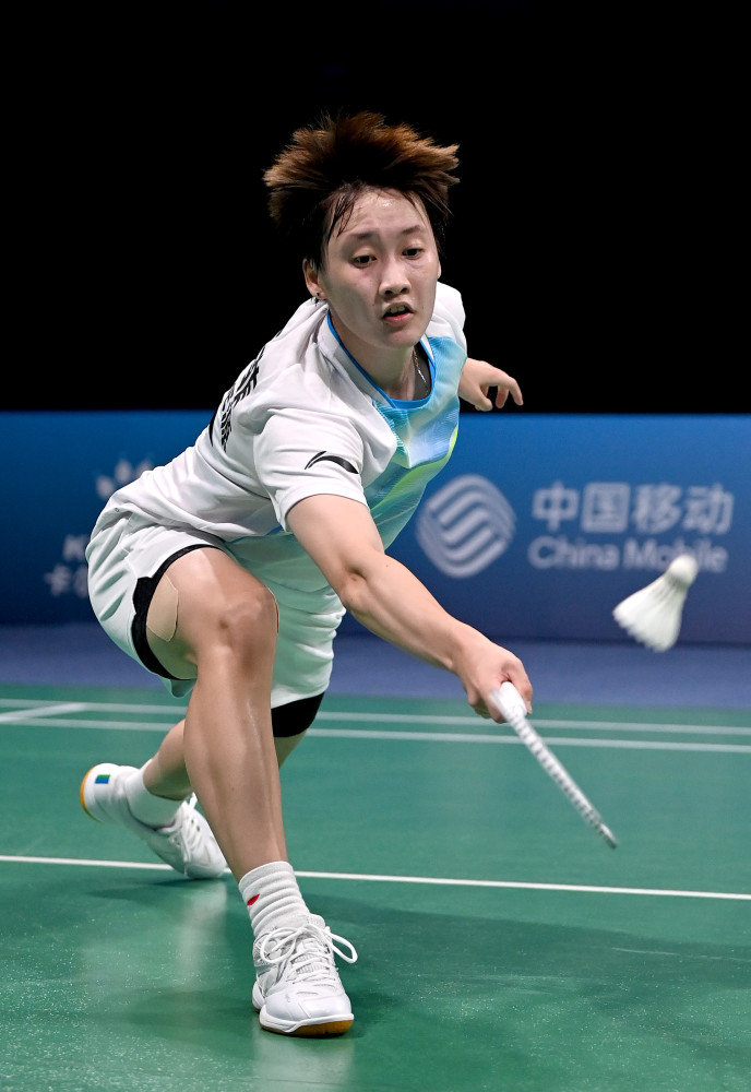 较高的后卫 较高的后卫